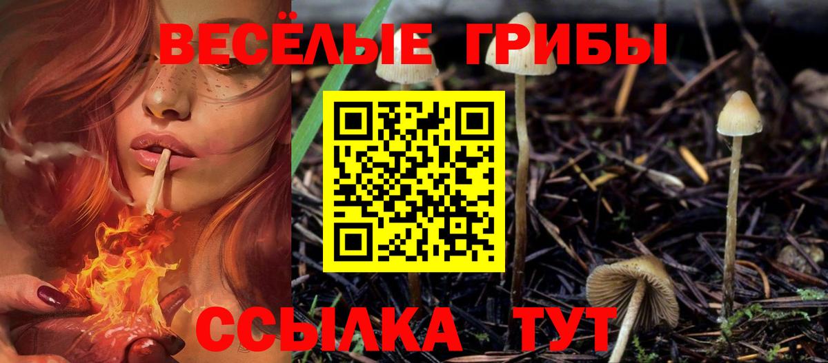Галлюциногенные грибы GOLDEN TEACHER  Вход с VPN  Кирово-Чепецк 