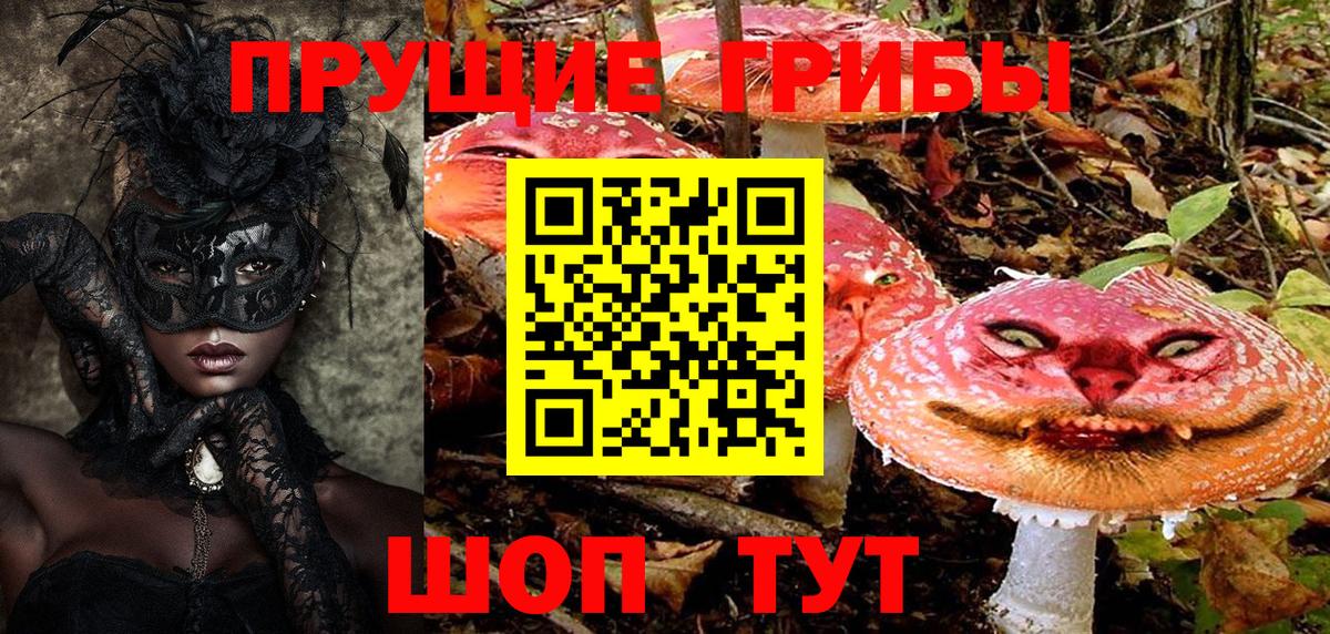 Псилоцибиновые грибы Cubensis Кирово-Чепецк